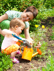 gardening