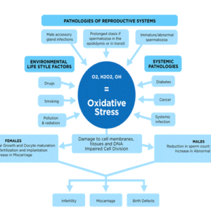 Oxidative stress